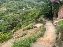 -缙云山景区