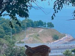 -星海湾跨海大桥