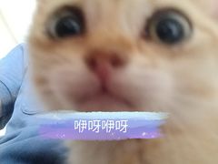 -瑞幸咖啡(汇日央扩国际广场店)