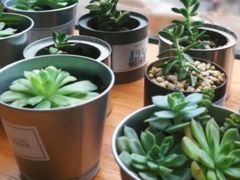 -漫慢里艺术体验馆·绘画调香手工DIY