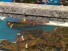 -盒马鲜生(枣园路店)