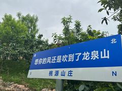 -桃源山庄·水蜜桃采摘·柴火鸡·烧烤团建(龙泉山店)