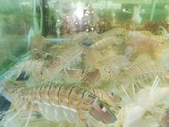 -国际金钻海鲜餐厅