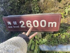 -苍山感通索道