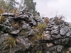 -千岛湖石林