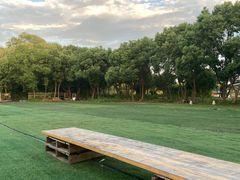 -动邦皮划艇·桨板·独木舟·团建户外运动俱乐部