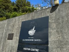 -怀托摩萤火虫洞