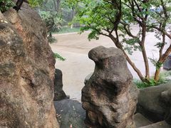 -赭山公园