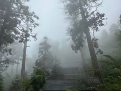 -东天目山风景区