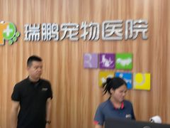 -瑞鹏宠物医院·骨科·猫科·内科(第一中心)