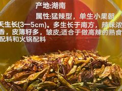 -文立新·秤盘麻辣烫(天通苑店)