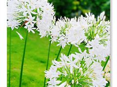 -三圣花乡旅游区