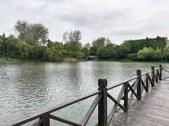 -溱湖国家湿地公园