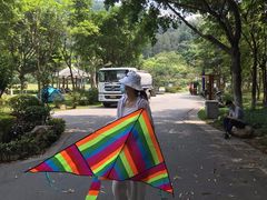 -火炉山森林公园