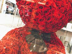 -ROSEONLY诺誓(国际广场购物中心店)