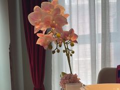 -俏江南天津时尚曲艺主题餐厅(马场道店)