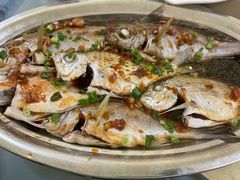 -洞背山庄(洞背院区式管理小区店)