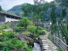 -MOJ coffee(瓯海泽雅水碓坑店)