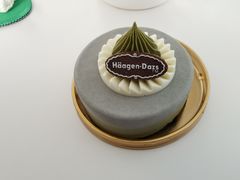 -哈根达斯(武汉天地店)