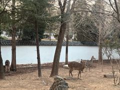 -观唐（国际）度假村温泉