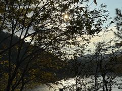 -云和湖仙宫景区