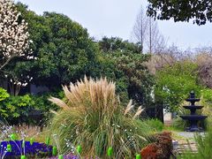 -梁鸿国家湿地公园