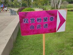 -牛岗山公园
