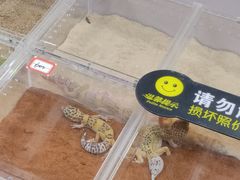 -三旗百汇商品城