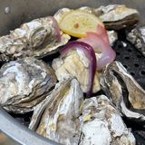 无限量生蚝，生蚝自由吃到撑~