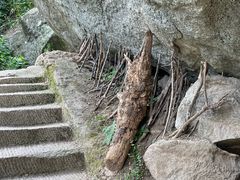 -鲁山国家森林公园