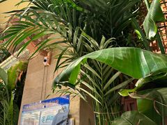 -云阿蛮云南生烫牛肉米线(奉贤路店)