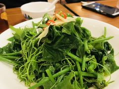 丝瓜尖-巴依老爷新疆美食(常营店)