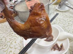 -百利鸽王(紫薇路店)