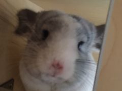 -雨林宠物医院 非犬猫异宠专科