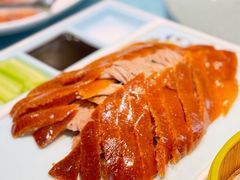 -海派美食·家宴海鲜青岛菜·石锅鲽鱼头(东方城店)