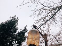 -颐和园