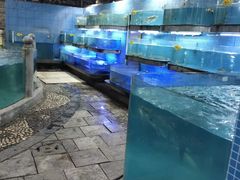 水产区-天怡·鱼工厂(临江店)