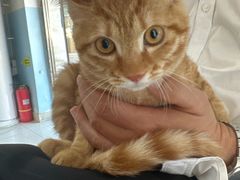 -瑞派福兴宠物医院犬猫全科·骨科·中西医结合(河东店)