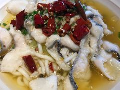 -Aqua Oasis 水天堂(石路天虹店)