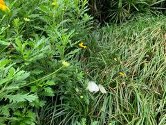 -鱼桥巷·美学川菜