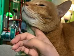 -默迹咖啡馆