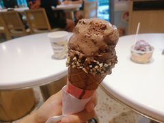比利时朱古力口味-哈根达斯(天河城店)