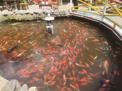 -竹泉村旅游度假区