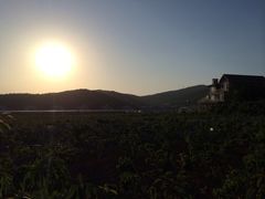 iphone_upload_pic-大连北马山庄