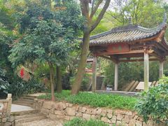 -石溪公园