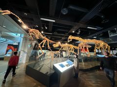-墨尔本博物馆(Melbourne Museum)
