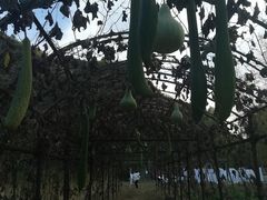 -仙居谷风景区
