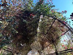 -The Grounds of Alexandria