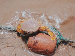 -小皓村