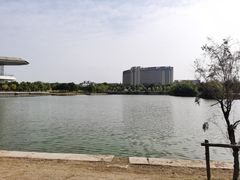 -南京医科大学(江宁校区)